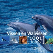 Vissen en walvissen 1001 foto's